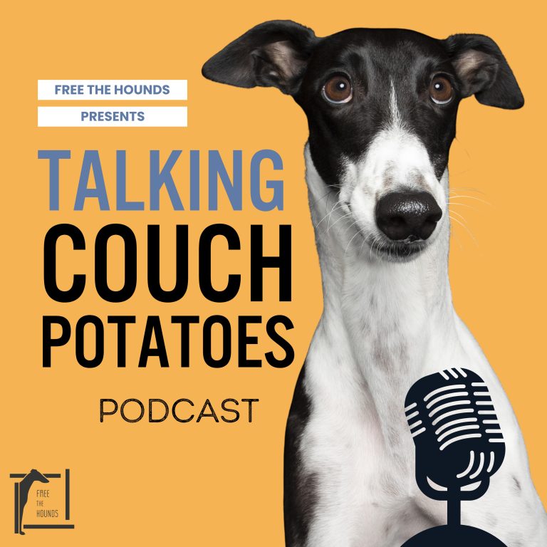 Talking Couch Potatoes