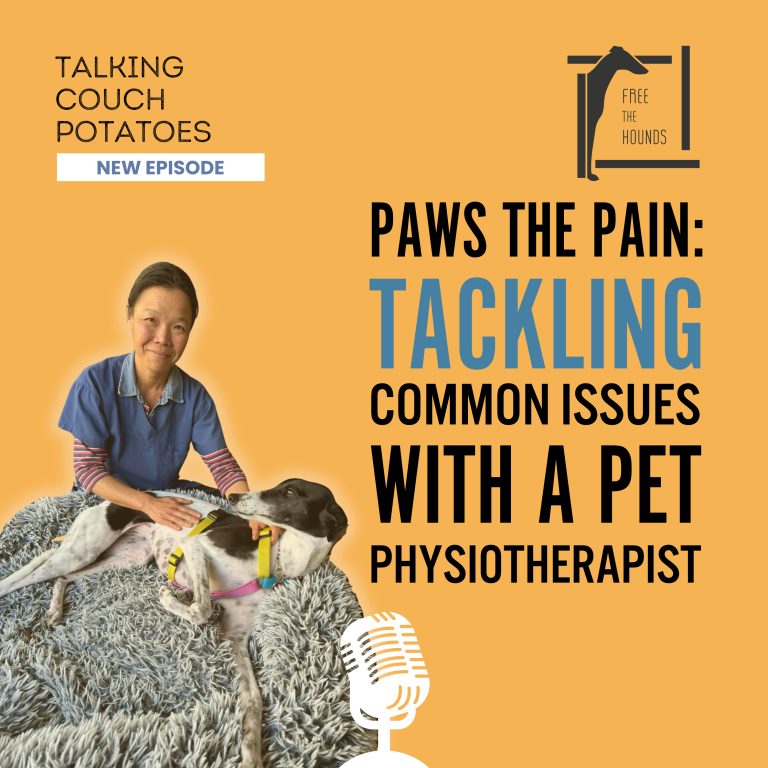 EP27: Paws the Pain: Tackling Common Issues with a Pet Physiotherapist