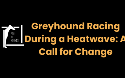 Greyhound Racing During a Heatwave: A Call for Change