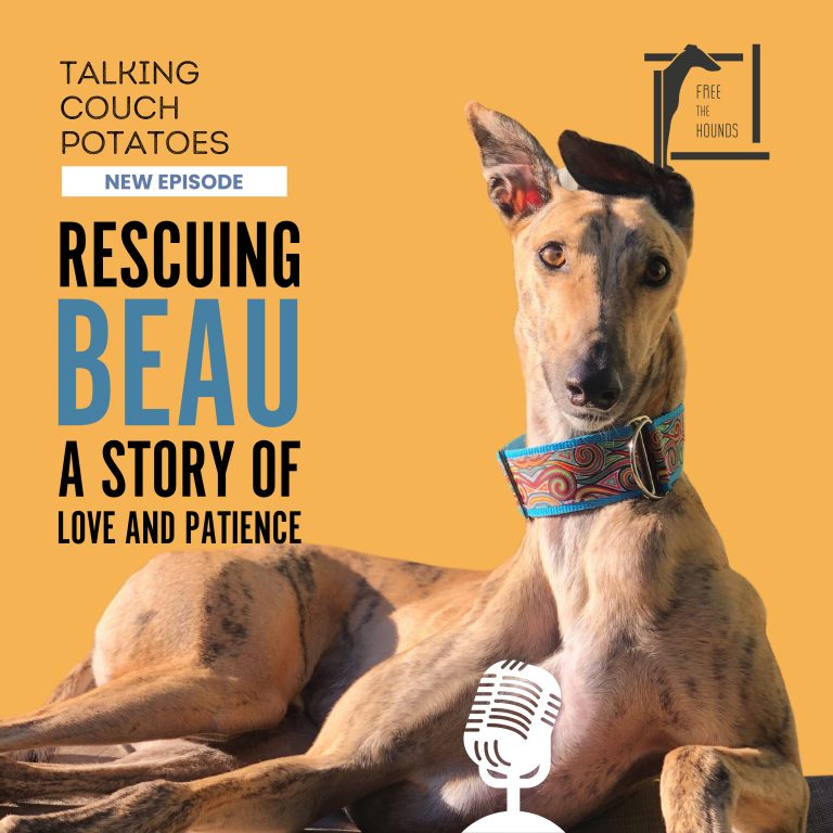 EP32: Rescuing Beau, A Story of Love and Patience