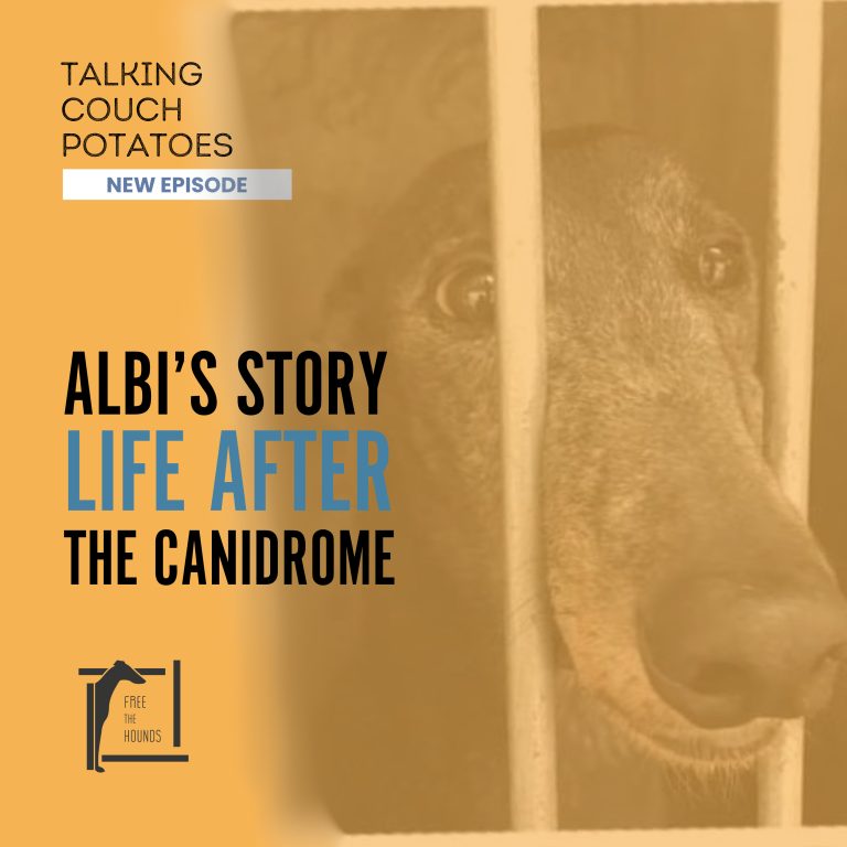 EP33: Albi’s Story, Life After the Canidrome