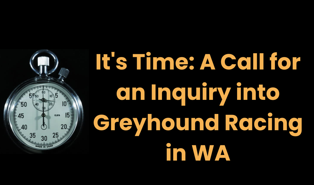 It’s Time: A Call for an Inquiry into Greyhound Racing in WA